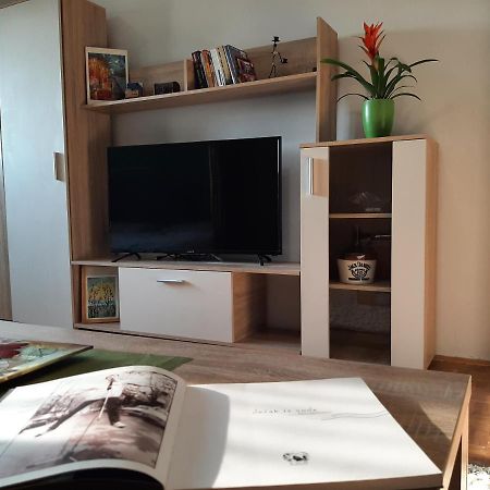 Vuk Apartment Čačak Екстериор снимка