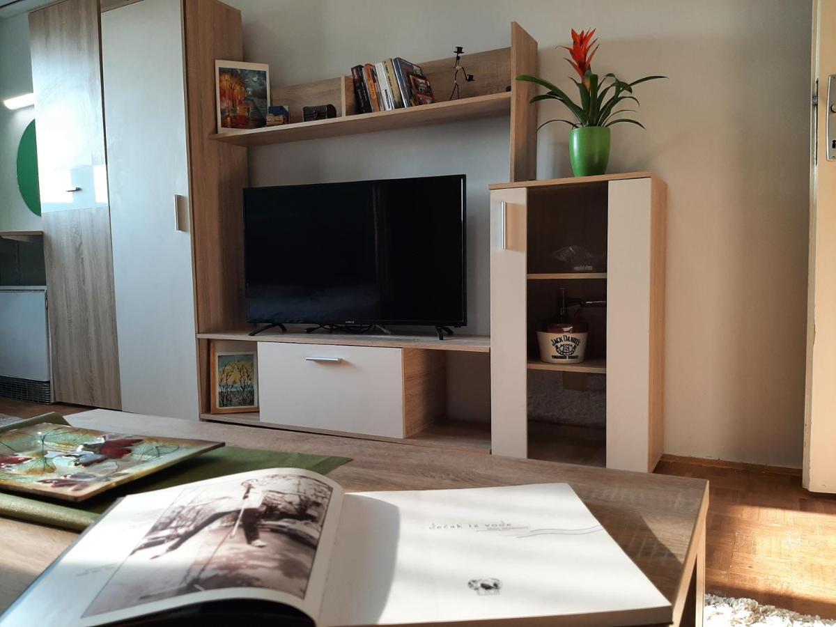 Vuk Apartment Čačak Екстериор снимка